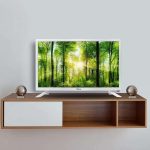 Tv Philco 24 Ptv24n91dfbrh