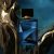 Essencial Oud Masculino 100 ml