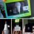 Presente Natura Homem Sagaz