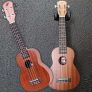 Ukulele Winner UW21SS Soprano 21 em Sapele Laminado