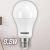 Taschibra TKL 60 11080248, Lâmpada LED