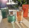 Biografia Caminhos Desodorante Colônia Feminino ou Masculino 100ml