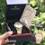 Relógio Feminino Technos Dourado