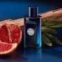 Perfume Banderas The Icon Masculino Eau de Toilett – 200ml